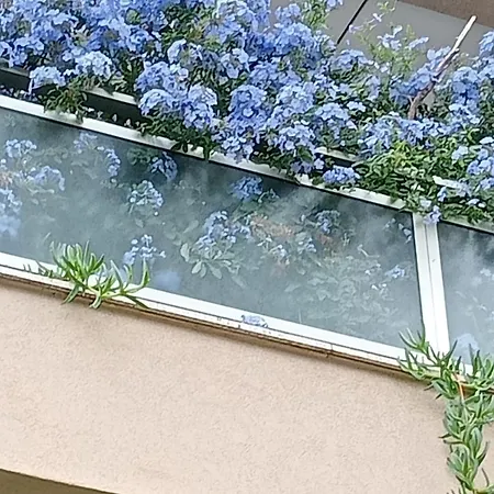 La Casa Di Emy בית נופש